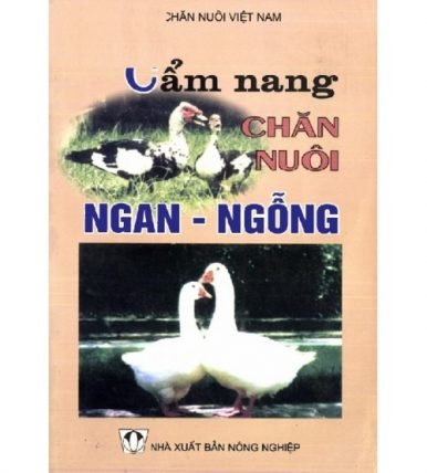 Cẩm nang chăn nuôi Ngan - Ngỗng