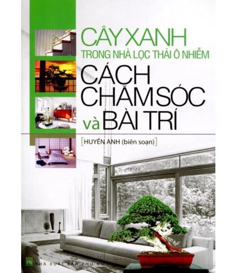 Cây Xanh Trong Nhà Lọc Thải Ô Nhiễm Cách Chăm Sóc Và Bài Trí