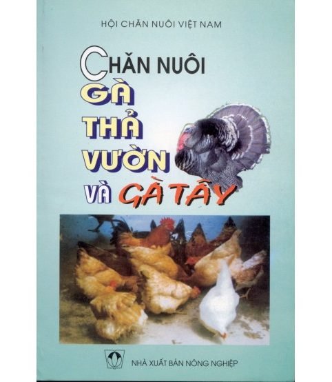 Chăn gà thả vườn và gà tây