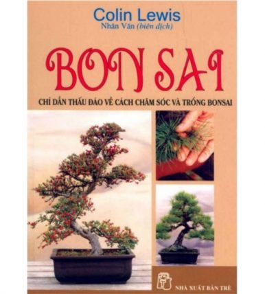 Hướng dẫn cơ bản về bonsai