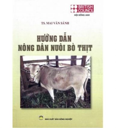 Hướng dẫn nông dân nuôi bò thịt