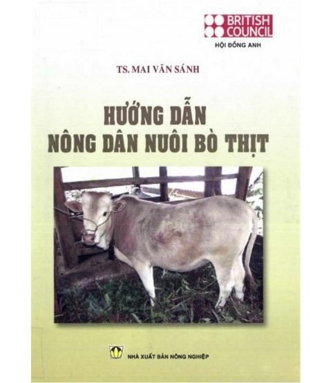 Hướng dẫn nông dân nuôi bò thịt