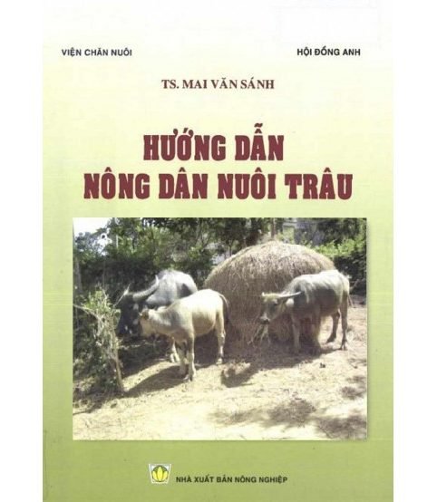 Hướng dẫn nông dân nuôi trâu