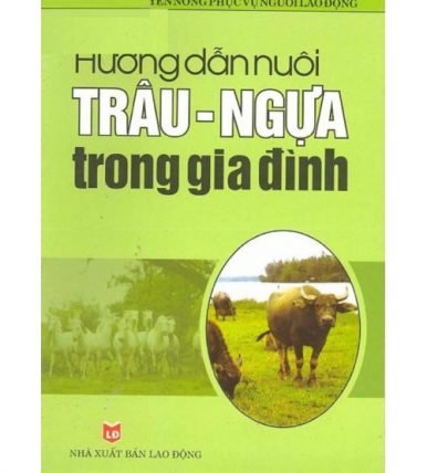 Hướng dẫn nuôi trâu ngựa trong gia đình