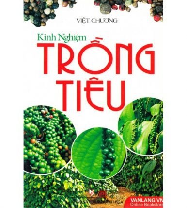 Kinh nghiệm trồng tiêu