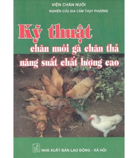 Kỹ thuật chăn nuôi gà chăn thả năng suất chất lượng cao