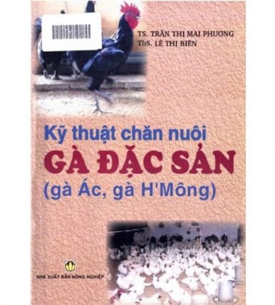 Kỹ thuật chăn nuôi gà đặc sản: Gà ác Gà H'Mông