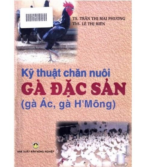 Kỹ thuật chăn nuôi gà đặc sản: Gà ác Gà H'Mông