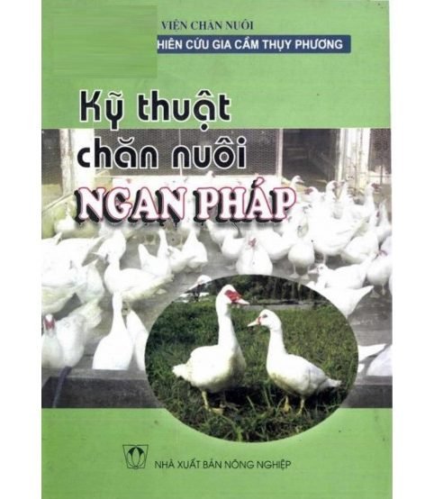 Kỹ thuật chăn nuôi ngan pháp