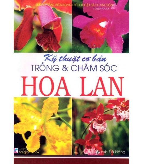 Kỹ thuật cơ bản trồng và chăm sóc hoa lan