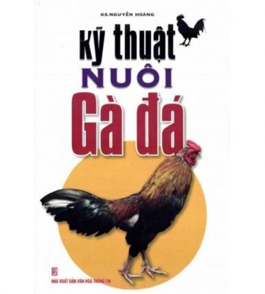 Kỹ thuật nuôi gà đá