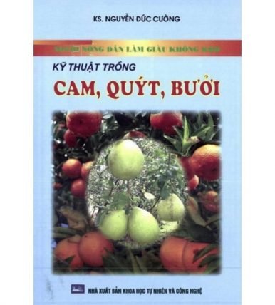 Người nông dân làm giàu không khó - Kỹ thuật trồng cam, quýt, bưởi