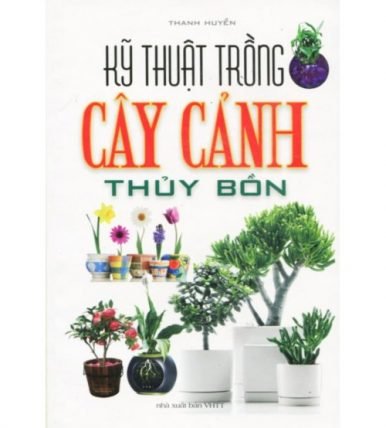 Kỹ thuật trồng cây cảnh thủy bồn