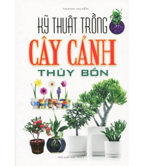 Kỹ thuật trồng cây cảnh thủy bồn