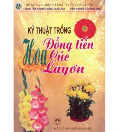 Kỹ thuật trồng hoa đồng tiền, cúc, lay ơn