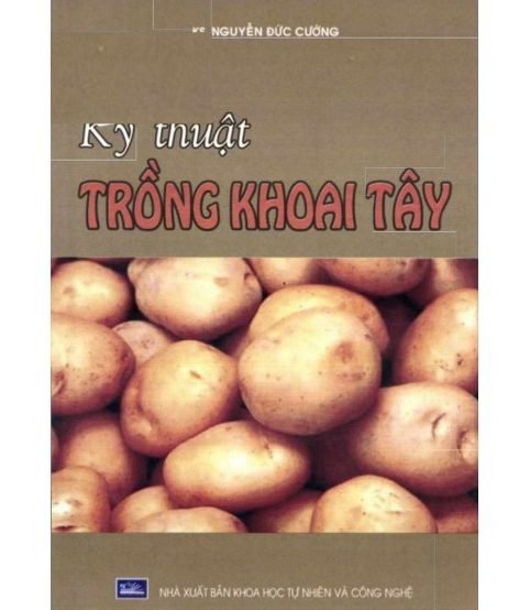 Kỹ thuật trồng khoai tây