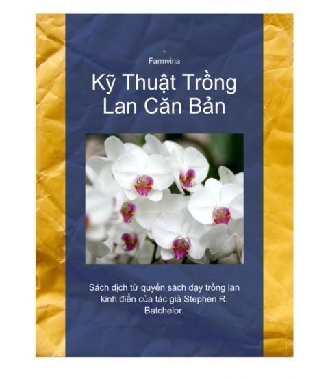 Kỹ thuật trồng lan căn bản