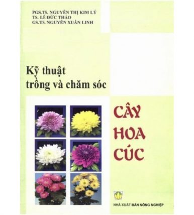 Kỹ thuật trồng và chăm sóc cây hoa cúc