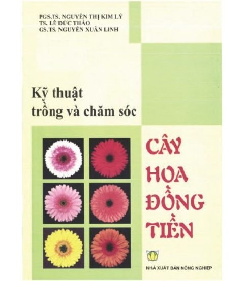 Kỹ thuật trồng và chăm sóc cây hoa đồng tiền