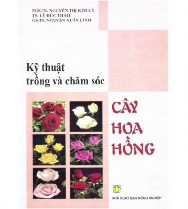 Kỹ thuật trồng và chăm sóc cây hoa hồng