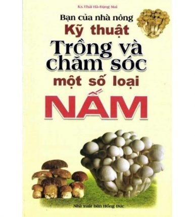 Kỹ thuật trồng và chăm sóc một số loại nấm