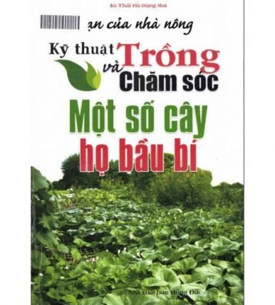 Kỹ thuật trồng và chăm sóc một số cây họ bầu bí