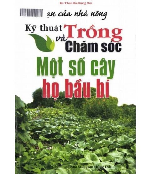 Kỹ thuật trồng và chăm sóc một số cây họ bầu bí