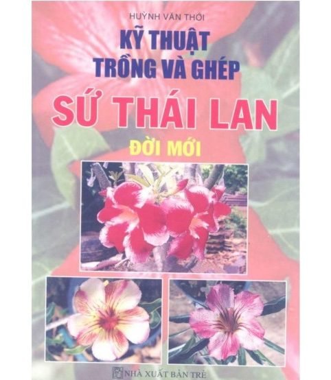 Kỹ thuật trồng và ghép sứ thái lan đời mới