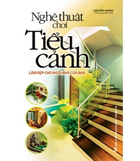 Nghệ thuật chơi tiểu cảnh làm đẹp cho căn nhà của bạn