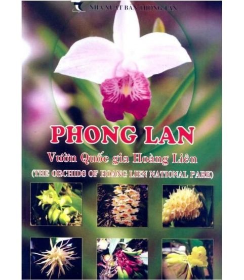 Phong Lan Vườn Quốc Gia Hoàng Liên