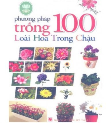 Phương Pháp Trồng 100 Loài Hoa Trong Chậu