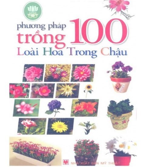 Phương Pháp Trồng 100 Loài Hoa Trong Chậu