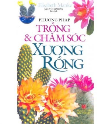 Phương pháp trồng và chăm sóc xương rồng