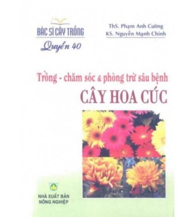 Trồng - chăm sóc và phòng trừ sâu bệnh: Cây Hoa Cúc