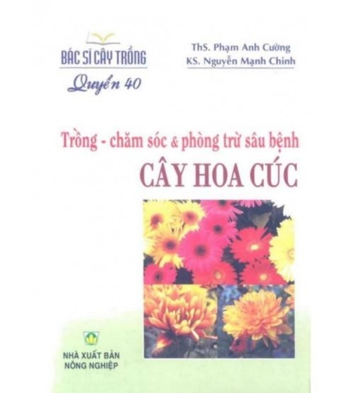 Trồng - chăm sóc và phòng trừ sâu bệnh: Cây Hoa Cúc